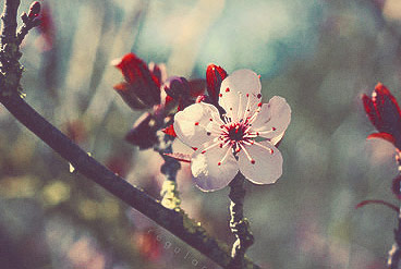 网络手机号呼叫软件免费版