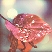 短信压力测试在线网页版